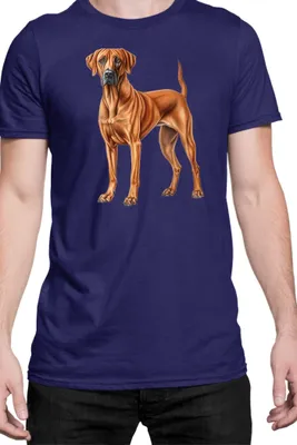 Obrázek produktu pro Pánské Tričko Dogs Breeds Rhodesian Ridgeback Dog Breed 006, Man S / Tmavě modrá