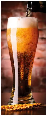 Produktbild von Wallario Premium Glasbild, freischwebende Optik, kräftige Farben, Größe 80 x 32 cm Motiv Frisches Pils