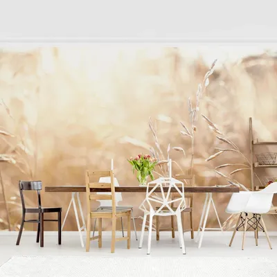 Produktbild von Fototapete Blumen - Vliestapete - Bildtapete UV-beständig Gräser beige Landhaus Wandtapete geruchsfrei