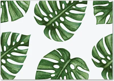 Produktbild von Tulup® Glas-Bild - 100 x 70 - Wandbild aus Glas - Wandkunst - Wandbild hinter gehärtetem Sicherheitsglas - Blumen & Pflanzen - Monstera - Grün