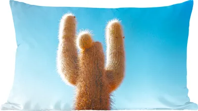 Produktbild von MuchoWow® Zierkissen Sofakissen Wohnzimmer Dekokissen 50x30 cm Kaktus mit blauem Himmel - Wohnzimmerdekoration - Polster mit Photo