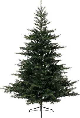 Produktbild von Weihnachtsbaum Grandis Tanne klappbar Baum Durchmesser 162 cm Höhe 240 cm