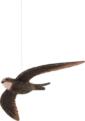 Produktbild von DecoBird Mauersegler handgeschnitzte Holz Vogel-Dekoration 129x275x36mm