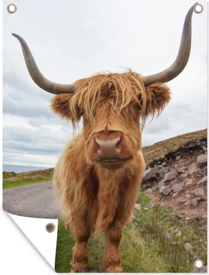 Produktbild von MuchoWow® 30x40 cm Outdoor-Poster Gartendeko Sichtschutz Garten Poster für den Garten  Schottischer Highlander - Hörner - Berg
