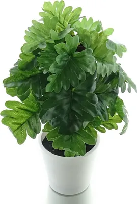 Produktbild von GASPER Monsterapflanze mit 24 Blättern im Kunststofftopf 24 cm - Kunstpflanzen