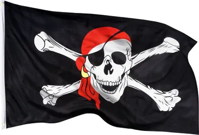 Obrázek produktu pro PHENO FLAGS pirátská vlajka 90 x 150 cm pirátská vlajka pirátská vlajka 2 očka