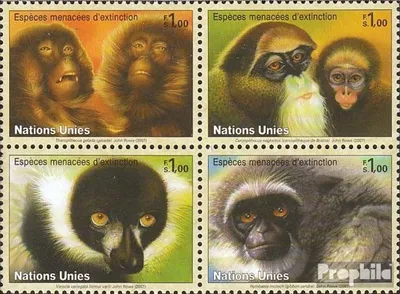 Produktbild von Briefmarken UNO - Genf 2007 Mi 561-564 Viererblock (kompl.Ausg.) postfrisch Primaten