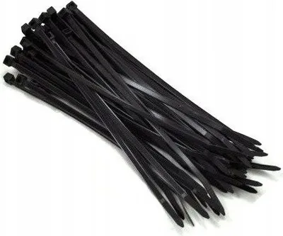Obrázek produktu pro DEDRA 11C25202, Nylon, 200 mm, 2,5 mm, 100 kusů