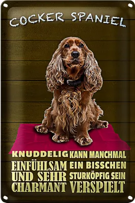 Produktbild von Blechschild Spruch 20x30cm Cocker Spaniel Hund knuddelig