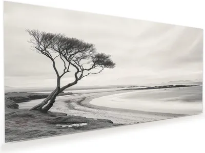 Produktbild von Glasbild 100x50cm in XXL für Wohnzimmer, Schlafzimmer Motiv Einsamer Baum am Meer
