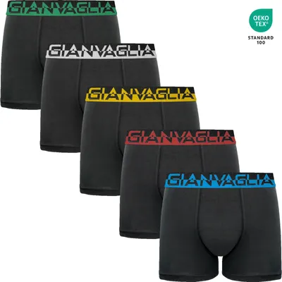 Image de GIANVAGLIA Boxers pour hommes Camouflage, lot de 5, coton, stretch, confort, M
