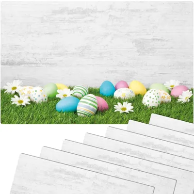 Produktbild von Abwaschbare Tischsets 8er Set Ostern Gänseblümchen Blumen