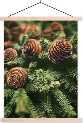 Produktbild von MuchoWow® Textilposter Eine Nahaufnahme von Tannenzapfen am Weihnachtsbaum 60x80 cm mit holzfarbenen Rahmen - Wandbild