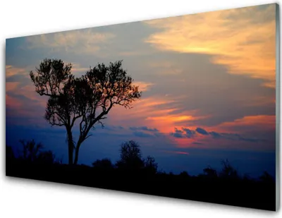 Produktbild von Acrylglasbilder 100x50 Wandbild Druck Baum Natur