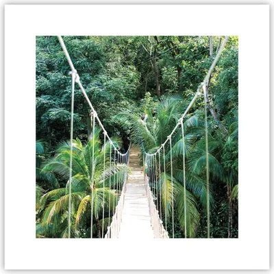 Produktbild von Poster - Poster ohne Rahmen - Tropen Dschungel Brücke - 30x30 cm - Wand Bild - Wanddeko - Wandbilder - Kunstposter - Wandposter - Bilder - Kunstdruck - Wanddekoration - Wandbild - P2XAC30x30-4963