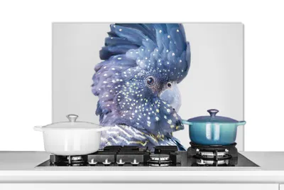 Obrázok produktu pre MuchoWow® Kuchynský splashback - Kuchynský backsplash - Ochrana steny sporáka a drezu - Kaketoe - Blauw - Dieren - Natuur 80x55 - Alu-Dibond (alternatíva skleneného splashbacku) - Tepelne odolný - Splashback sporáka - Ochrana dlaždíc - Odolný voči teplote - Kryt sporáka - Ochrana steny sporáka a drezu