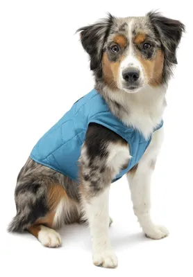 Immagine prodotto di Giacca per cani Kurgo Loft, compatibile con imbracature per cani, impermeabile e con elementi riflettenti