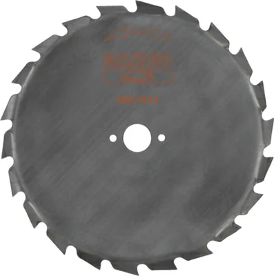 Obrázok produktu pre Kotúčová píla Bahco MAXI pre krovinorezy / krovinorezy, Ø 200 mm, 20 mm, 22 zubov