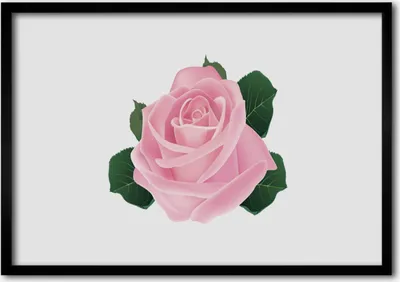 Produktbild von Bild 70x50 MDF-Rahmen Wandkunst Rose Blume Pflanze Natur