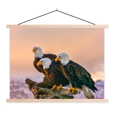 Produktbild von MuchoWow® Textilposter Vögel - Natur - Raubvögel - Adler 60x45 cm mit holzfarbenen Rahmen - Bild