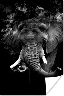 Produktbild von MuchoWow® Poster Elefant mit Rauch gegen schwarzen Hintergrund - schwarz und weiß 80x120 cm - Papierdruck