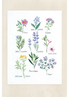 Kreuzstich-Set Kräuter, 23,7x35cm, 25 Farben, Fortgeschrittene