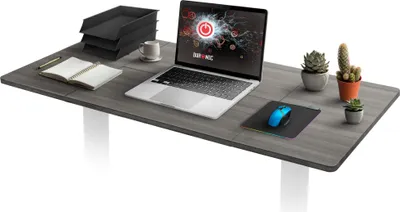 A desk with a laptop, mouse, notebook, and plants.