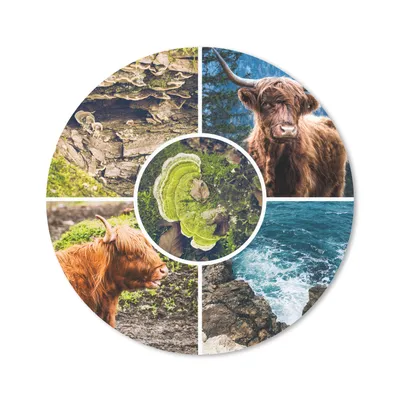 Produktbild von MuchoWow® Mauspad Mousepad Schottische Highlander - Tiere - Natur 20x20 cm - Mousepads - Maus Mat - Pad - Mausunterlage - Schreibtischmatte