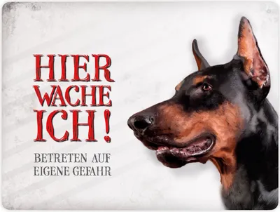 Produktbild von Metallschild XL mit Dobermann Motiv und Spruch: Betreten auf eigene Gefahr ...
