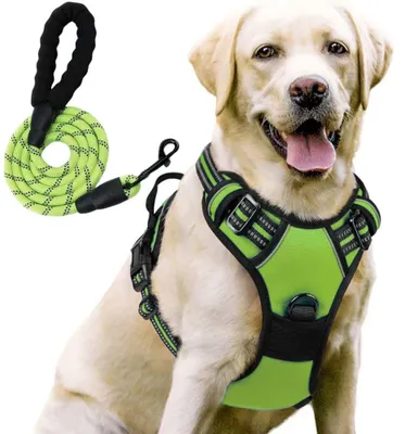 Image de Harnais Chien Réglable Léger Respirant Réfléchissant Anti-Traction avec Laisse - Vert Taille XL