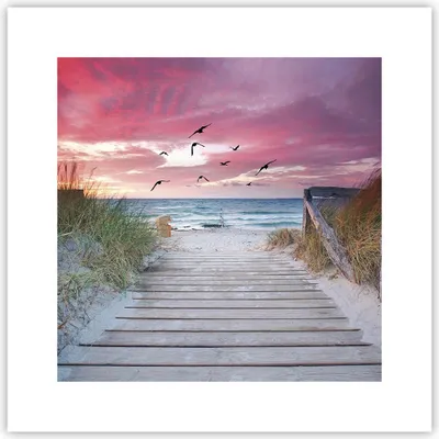 Produktbild von Poster - Poster ohne Rahmen - Strand Sand Vögel - 30x30 cm - Wand Bild - Wanddeko - Wandbilder - Kunstposter - Wandposter - Bilder - Kunstdruck - Wanddekoration - Wandbild - P2XAC30x30-4994