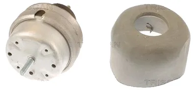 Produktbild von Lagerung Motor TRISCAN Aftermarket-Expertise passend für u.a. AUDI A4