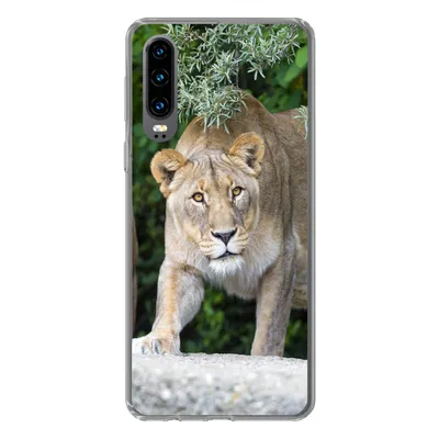 Produktbild von MuchoWow® Handyhülle Schutzhülle Hülle für Huawei P30 Löwinnen - Wilde Tiere - Jagd Silikon Softcase Handy Hülle - Kartenbesitzer