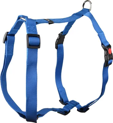 Produktbild von Flamingo Geschirr Ziggi blau, Größe: XL / Breite: 25 mm
