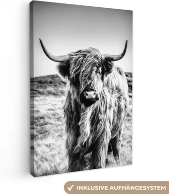 Produktbild von OneMillionCanvasses® - Plátno - Skotský horal - Příroda - Kráva - Černá - Bílá, nástěnné umění, nástěnné dekorace Obývací pokoj, 80x120cm