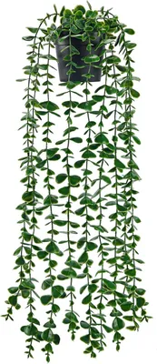 Productafbeelding van Kunsthangplanten Eucalyptusranken 62 cm, kunstmatige planten, voor binnen en buiten, decoratie voor kantoor
