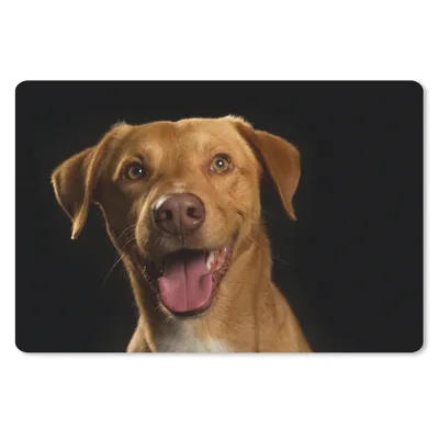 Produktbild von MuchoWow® Mauspad Mousepad Hund - Haustiere - Porträt 27x18 cm - Mousepads - Maus Mat - Pad - Mausunterlage - Büroartikel - Desk Matten