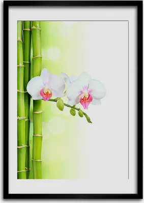 Produktbild von Bild - Bilderrahmen - Foto - 70 cm x 100 cm - MDF - Rahmen - Wandkunst - Orchidee und Bambus