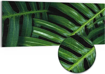 Produktbild von DEQORI Hybrid Leinwand Bild 150x60 cm 'Grüne Blattadern' Wandbild Glas flach modern