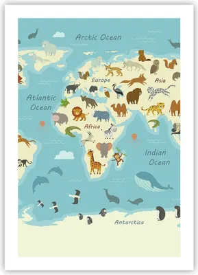 Produktbild von Poster - Poster ohne Rahmen - Tiere die Welt Karte - 50x70 cm - Wand Bild - Wanddeko - Wandbilder - Kunstposter - Wandposter - Bilder - Kunstdruck - Wanddekoration - Wandbild - P2XPA50x70-4860