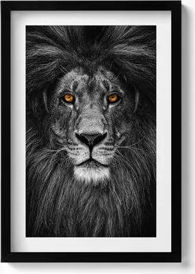 Produktbild von Schwarz-weißer Löwenkopf– Wandbild mit Rahmen – Gerahmtes Bild  – Wanddekoration – 40x60 cm –  Schwarz