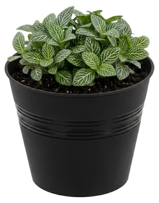 Produktbild von Blumentopf Eimer Rund Ø 17 cm Graphit minimalistisch gerade H 16,5 cm Kunststoff Dekoration Grabstein-Blumentopf Grabvasen Kompositionen aus künstlichen und echten Blumen