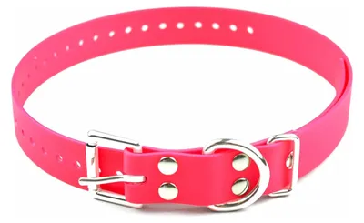 Productafbeelding van Educator Biothane Halsband, 2,5 cm, roze