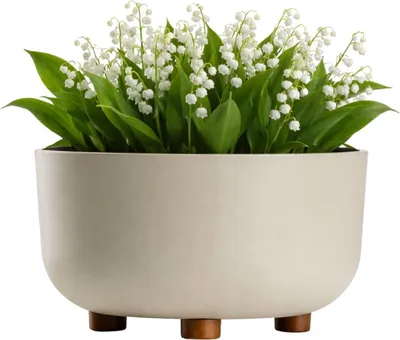Produktbild von HowHomely | Blumentopf - Pflanzkübel - beige - 17 x 26 cm - aus Recyclingmaterial - Pflanzgefäß - mit Füßen
