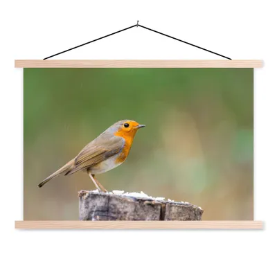 Produktbild von MuchoWow® Textilposter Tiere - Vogel - Rotkehlchen 120x80 cm mit holzfarbenen Rahmen - Aufhängeset