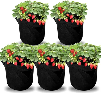 Produktbild von Lospitch 5x Pflanzsack Pflanzkörbe Pflanztasche Pflanzen Tasche Pflanzbeutel 19L Vliesstoff