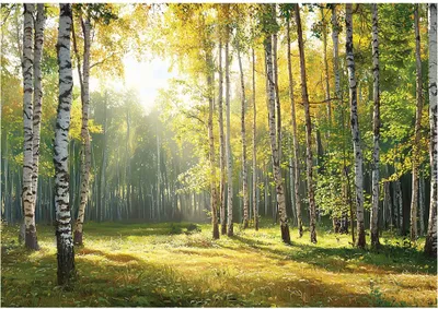 Produktbild von Fototapete 3D Effekt Wald Natur - 350x250 cm - inklusive kleister - Vlies Tapete - Vliestapete Wohnzimmer Schlafzimmer Küche Modern Wandtapete