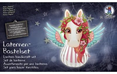 Obrázok produktu pre URSUS Laternen-Bastelset "Pegasus"
