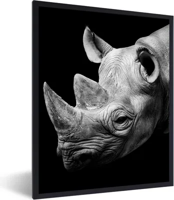 Produktbild von MuchoWow® Gerahmtes Poster Tiere - Nashorn - Schwarz - Weiß - Porträt 30x40 cm - Poster mit Schwarzem Bilderrahmen Wandposter Rahmen Foto Bilder - Wanddeko - Kunstdrucke