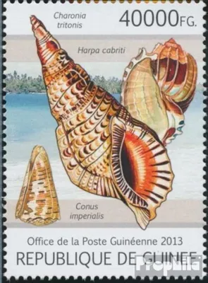 Produktbild von Briefmarken Guinea 2013 Mi 9724 (kompl. Ausgabe) postfrisch Muscheln